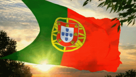 portuguese flag 6