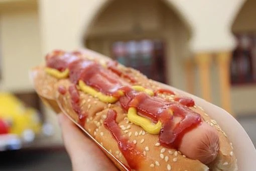 Hot dog