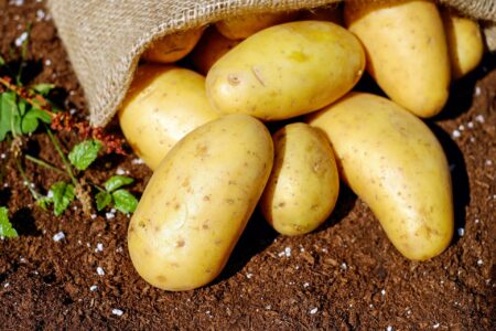 potatoes 1585075 1920