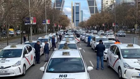 Federacja Zawodowych Taksowek w Madrycie
