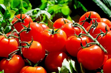 tomatoes 1280859 1280