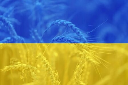 Ukrainskie zboze k
