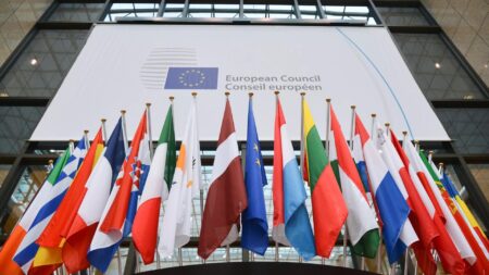 UE flagi czlonkow