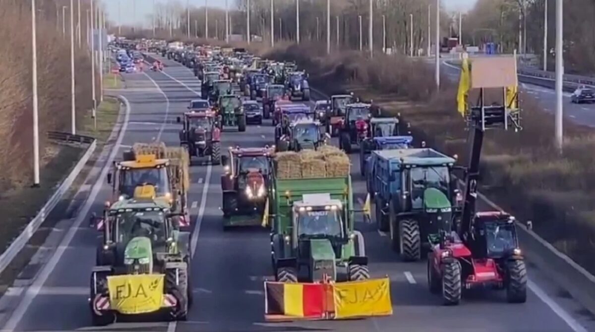 Belgia rolnicy