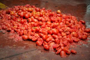 Wojna na pomidory