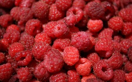 raspberries 3798021 1280
