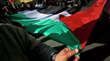 Palestyna flaga