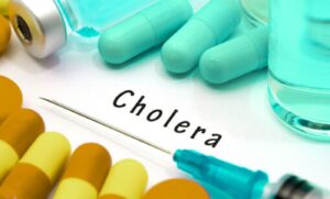 Cholera lamfa