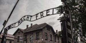 auschwitz dfhbdhjtfrd