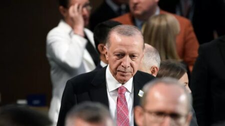 Erdogan ewfwegvwegfwefgwe