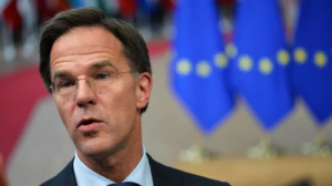 Rutte dfvbfsv