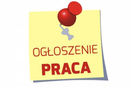 Oferta Pracy 1