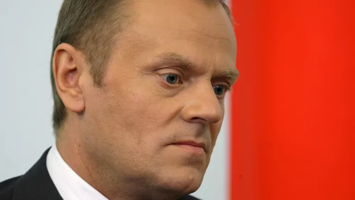 Tusk nowe