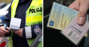 DowodRejes e1650804870181