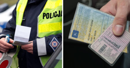 DowodRejes e1650804870181