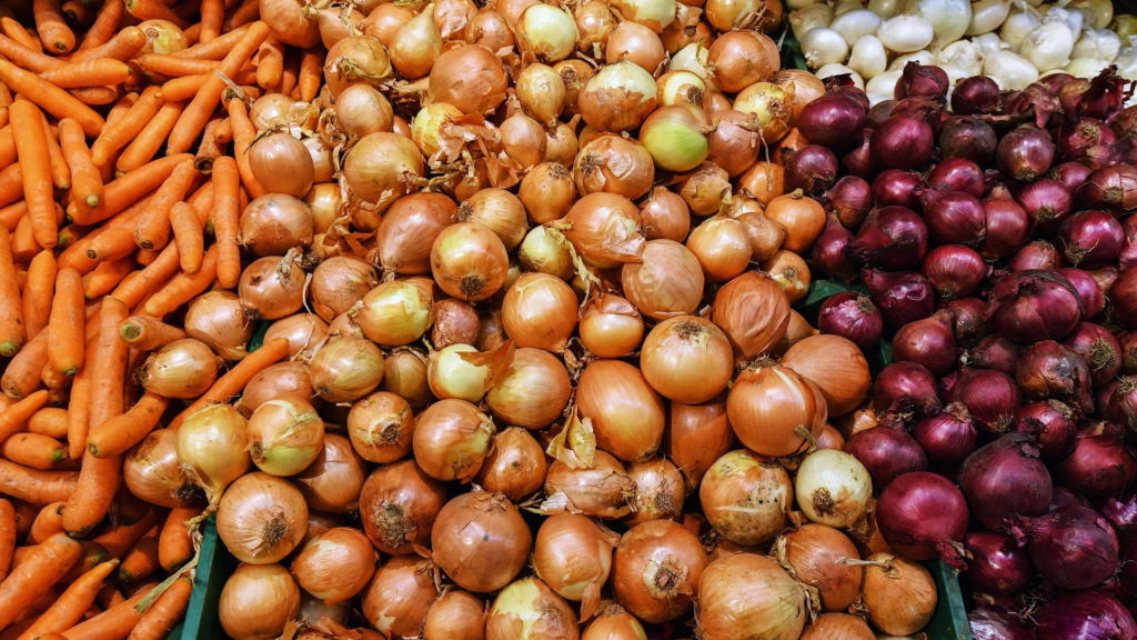 Marchew i Cebula e1653725143905