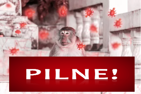 W Holandii dziecko po raz pierwszy zachorowało na małpią ospę Stan nadzwyczajny Malpia ospa