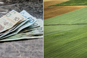 PodatekOdzDzialki e1661688036274