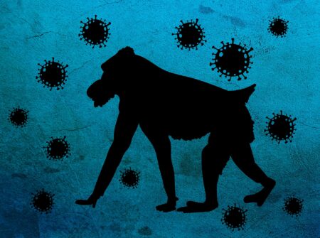 monkey pox 7226817 1920 e1669721864238