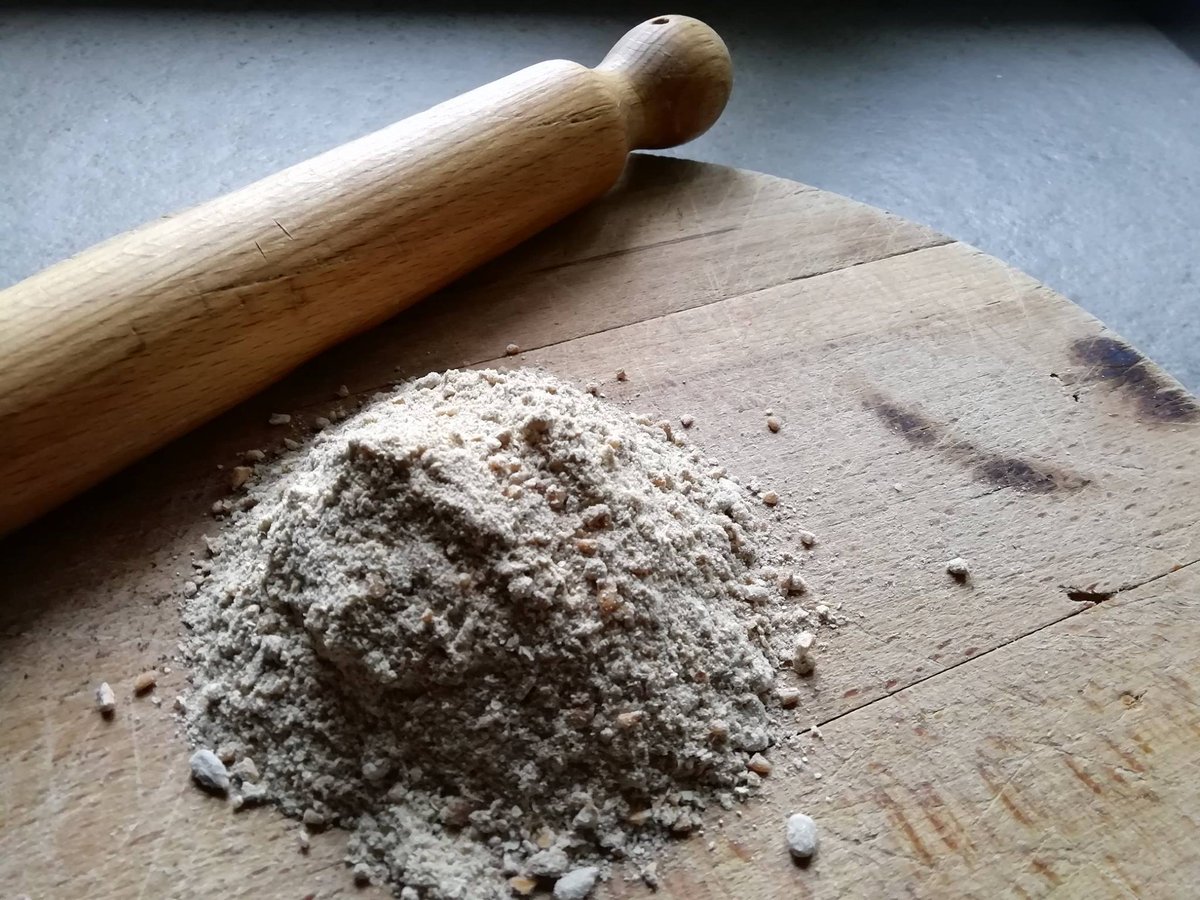 Mąka ze świerszczy od dziś w Polskich sklepach MakaSwierszcze