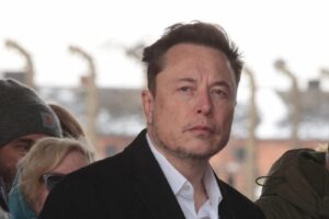 Musk zydzi