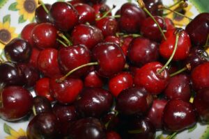 cherries 5337356 1280