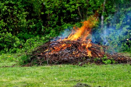 Uważaj na Mandat: Spalanie Liści i Gałęzi Może Kosztować 500 zł! PalenieLisci