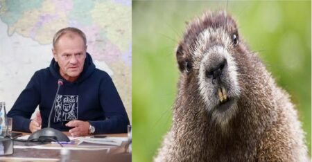 „To operacja PR, a nie ratowanie ludzi”. Mentzen oskarża rząd Tuska o zaniedbania podczas powodzi Tusk bobr