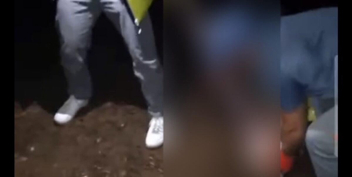 Ukier znecanie sie nad zajacem w lesie