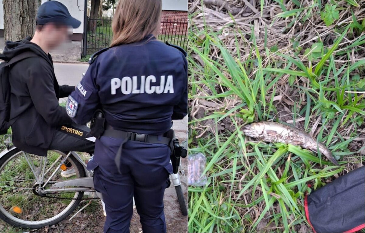 Ukrainiec policja ryba