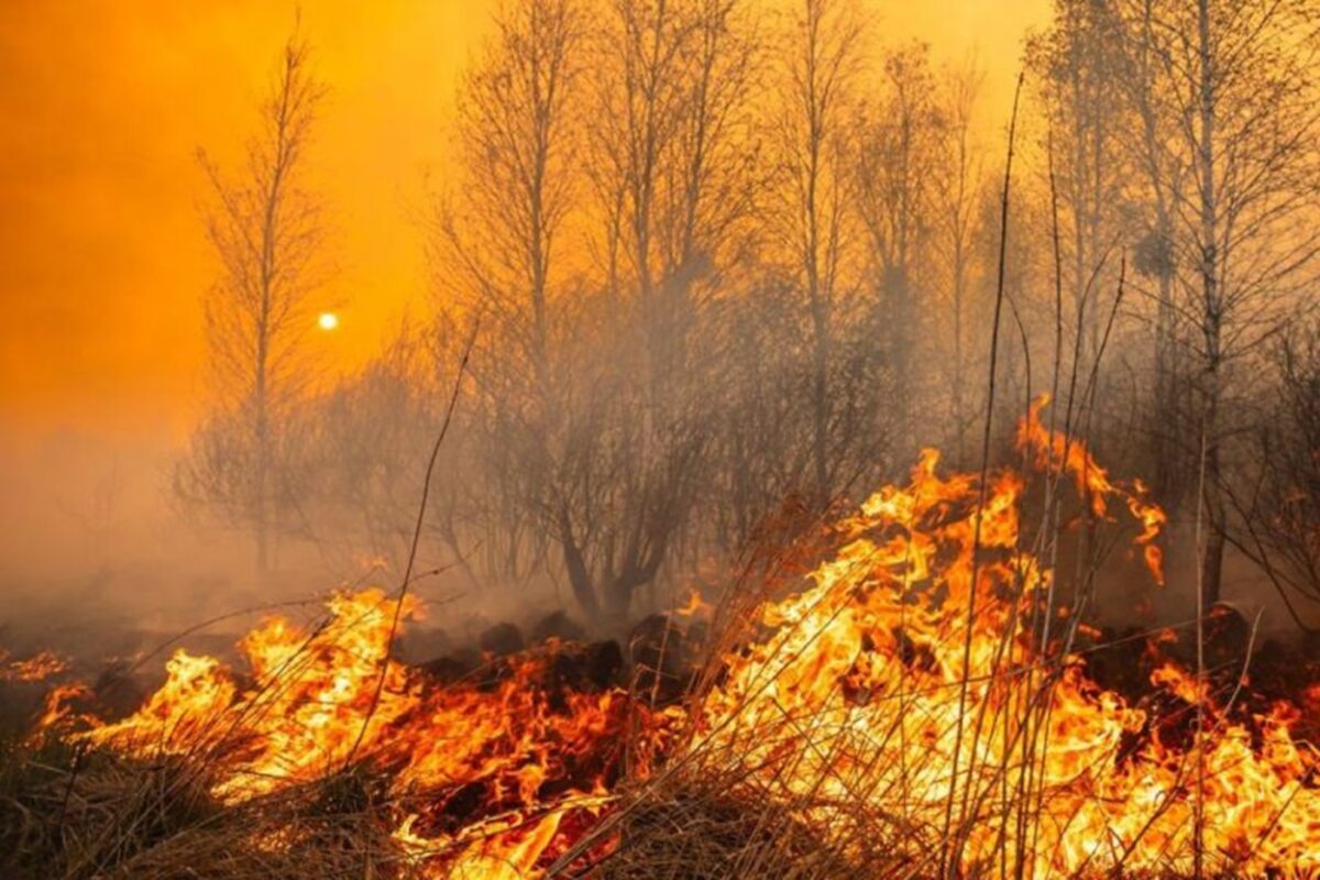 pozar biebrzanski park narodowy