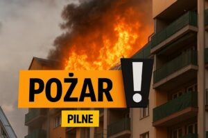 Pozar